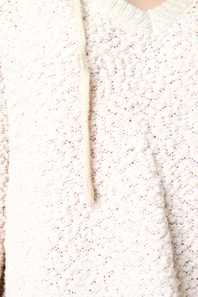 Fluffy Knit Oversize Hooded Sweater